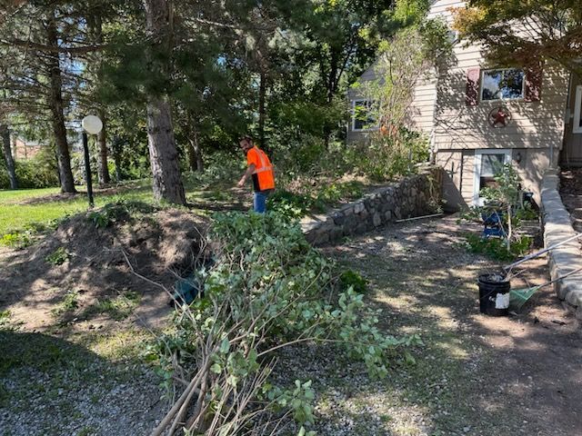 A man is cutting a tree in front of a house.
