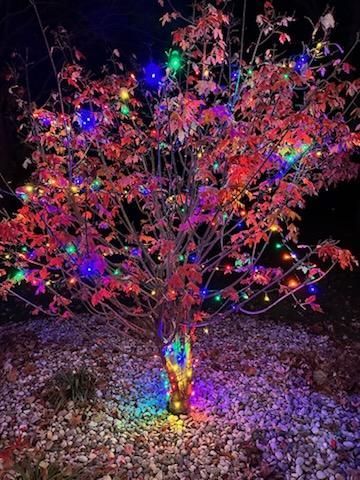 Holiday Lighting
