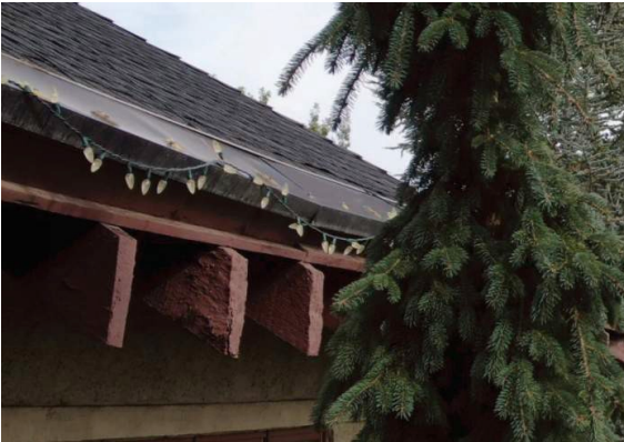 String of white Christmas lights on a dark roof gutter with wooden supports, next to a tall evergreen tree.