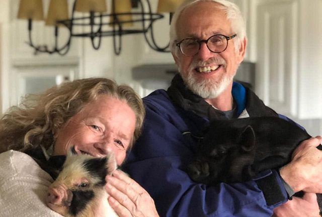 Couple smiling, holding two small pigs in a kitchen. The pigs are black and spotted, respectively.