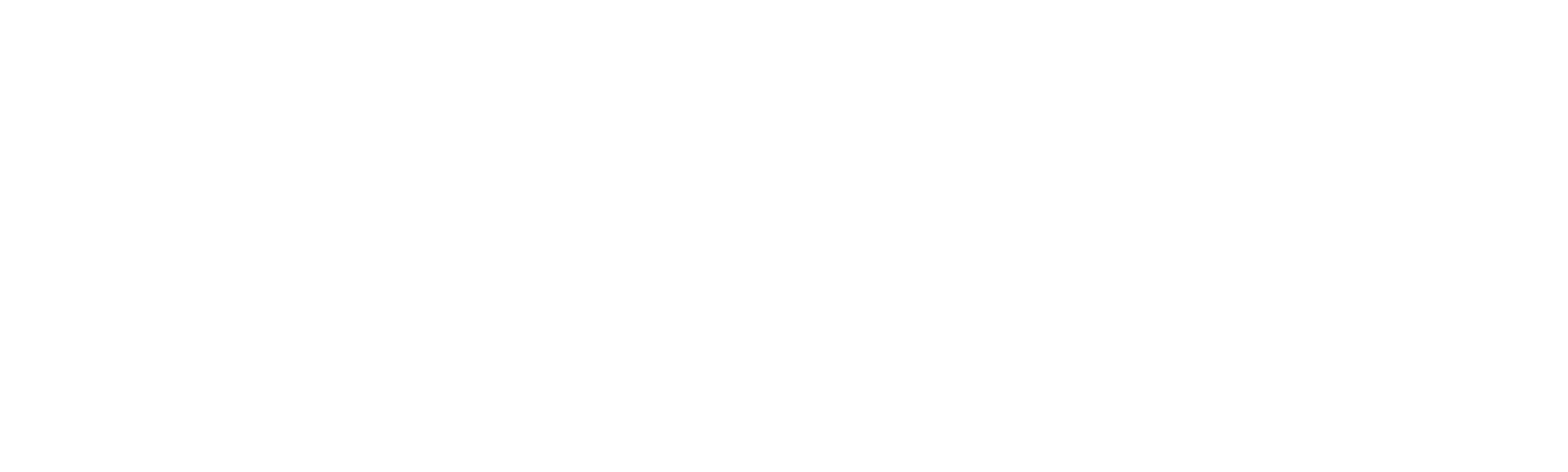 ENIKO Logo in white serif letters in caps with a horizontal line above the letter o.