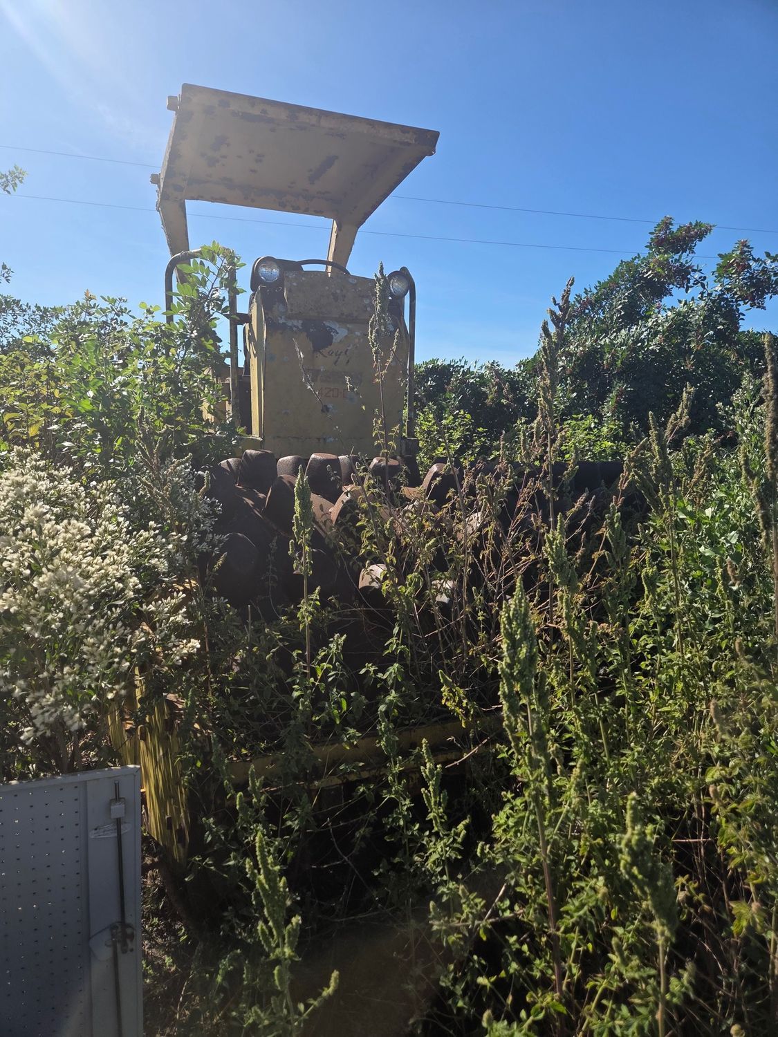 Yellow bulldozer overgrown with vegetation sits in a field under a blue sky.