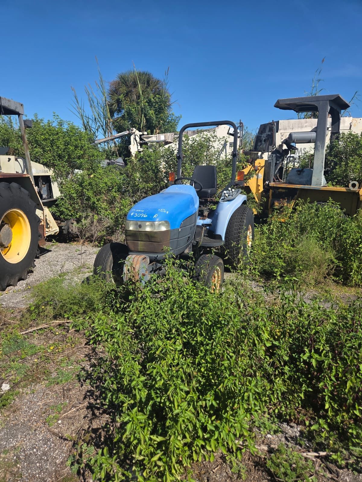 Blue tractor in overgrown vegetation with other machinery in the background on a sunny day.