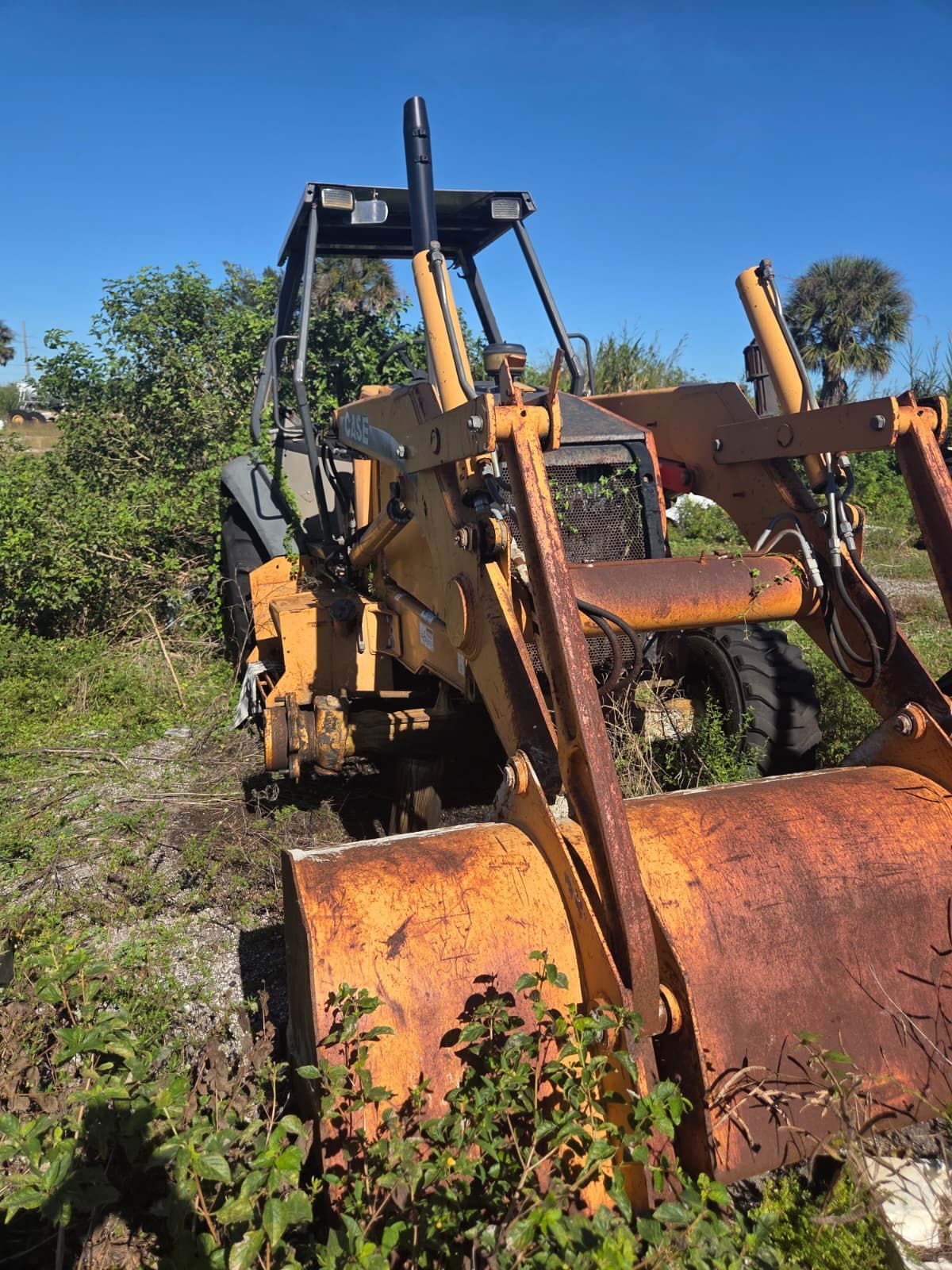 Yellow and rusty backhoe in overgrown vegetation under a clear blue sky.