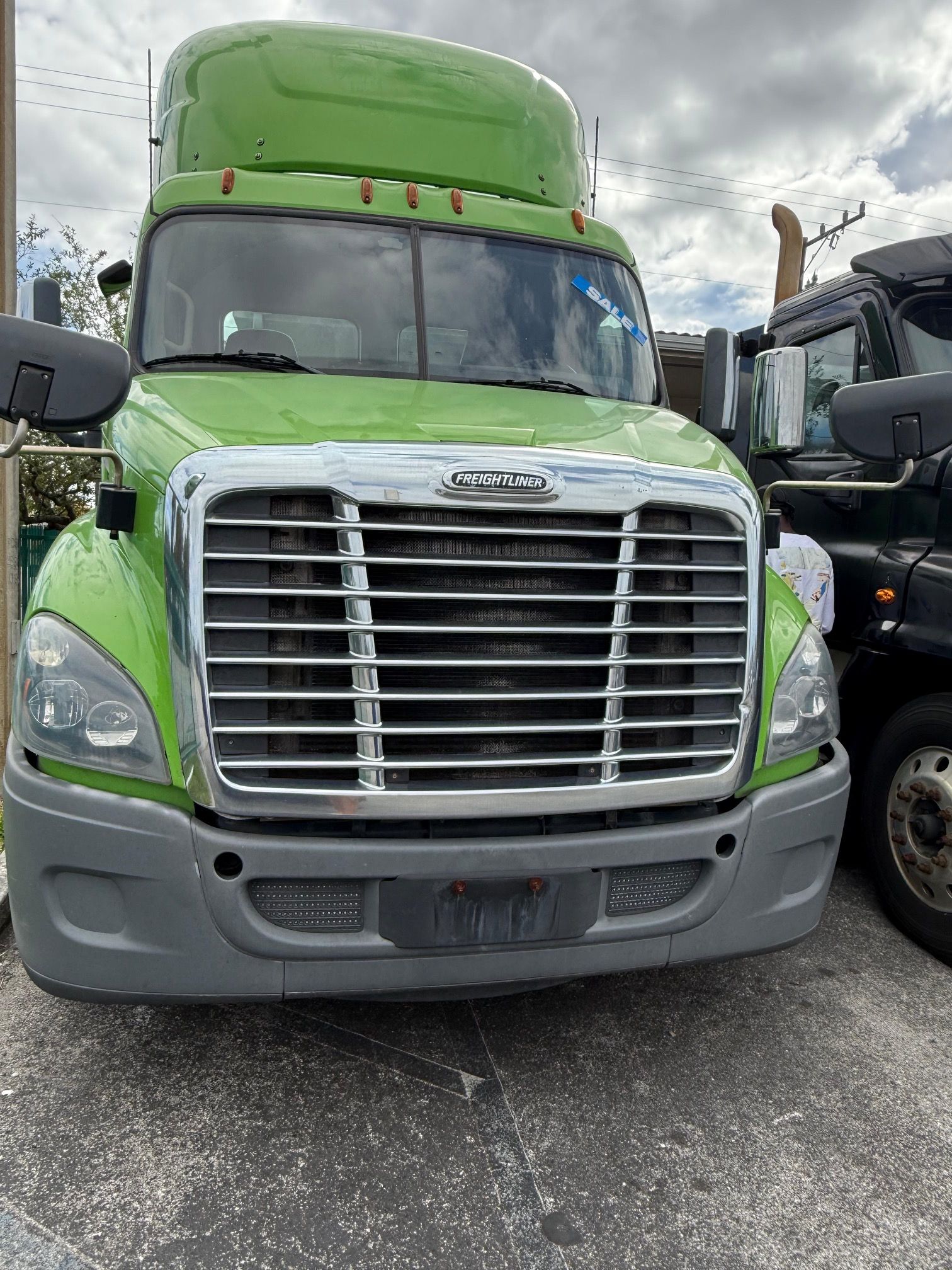 Green Freightliner semi-truck parked in a lot, with a chrome grill and gray bumper.
