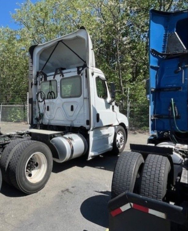 White semi-truck parked outdoors, rear view. Another blue truck is next to it.