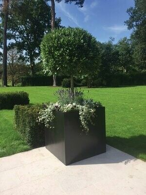 Square planter 