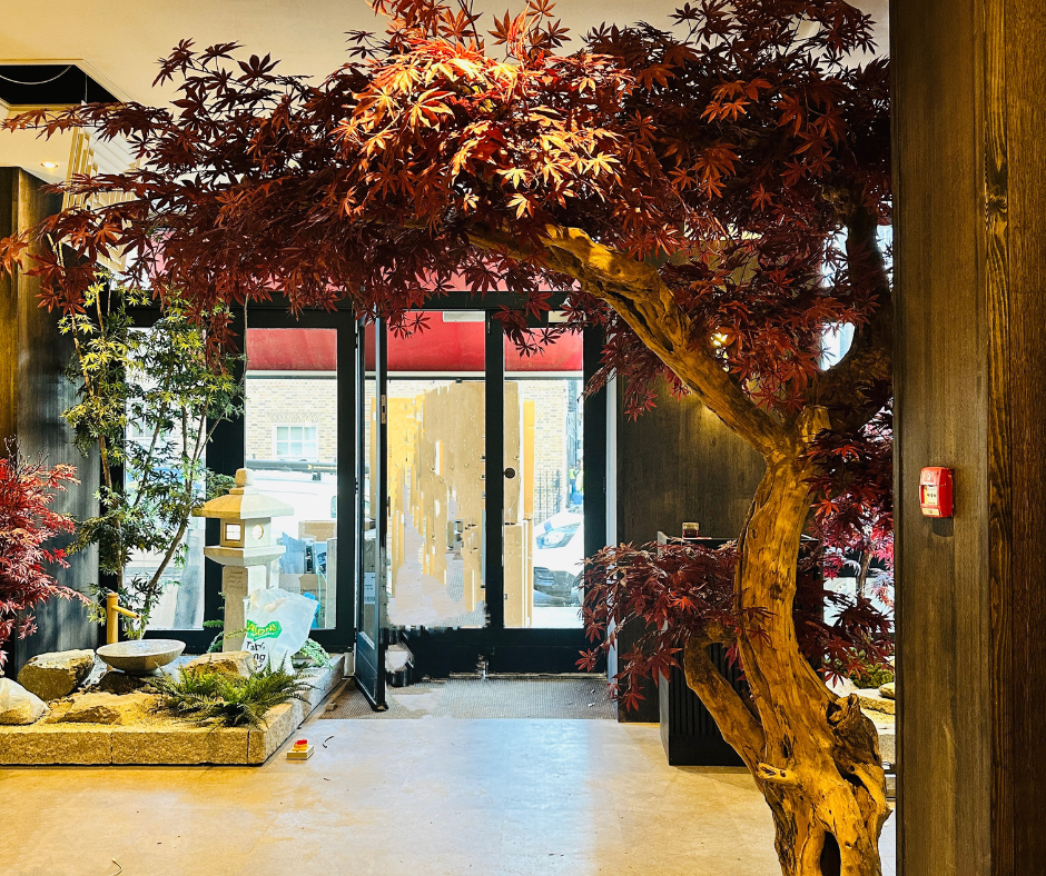 Indoor Bonsai tree