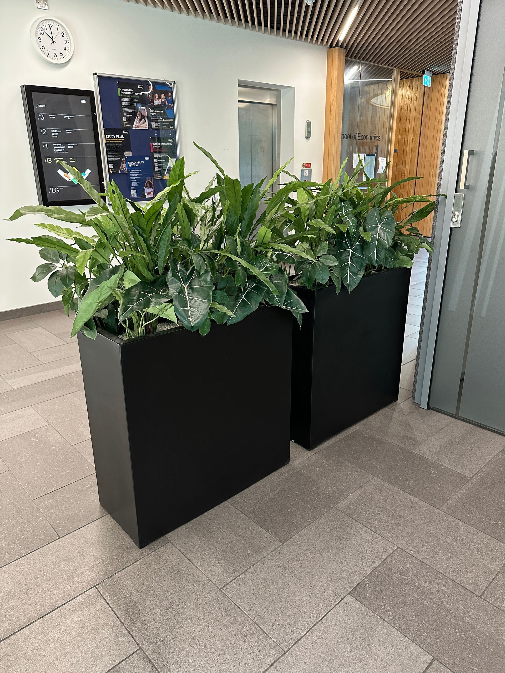 Pre-Planted Pots