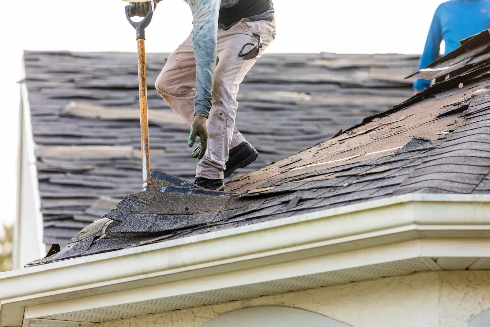 A worker in work pants uses a tool to tear old shingles off a residential roof.