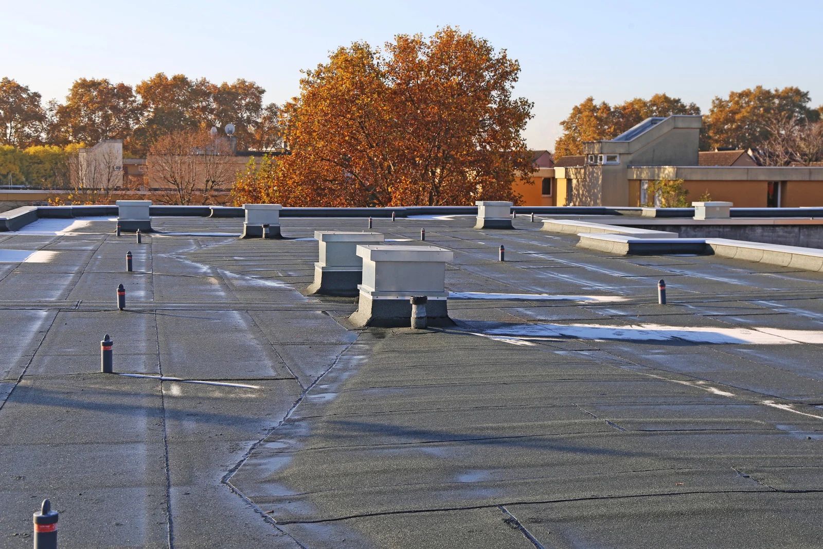 Flat rooftop with vents and autumn trees in the background