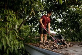 Kent Handyman cleaning up yard waste