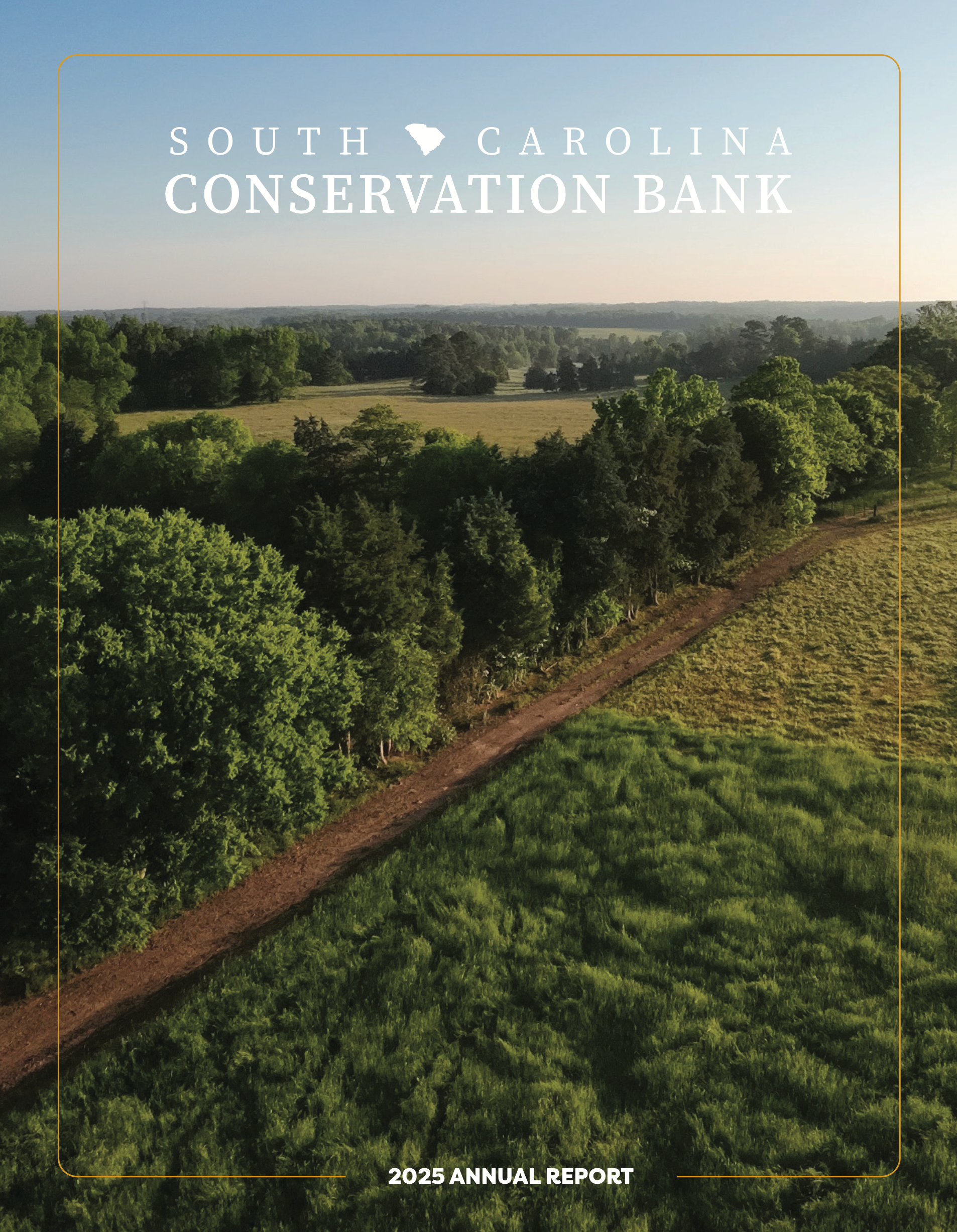 2025 Annual Report Cover