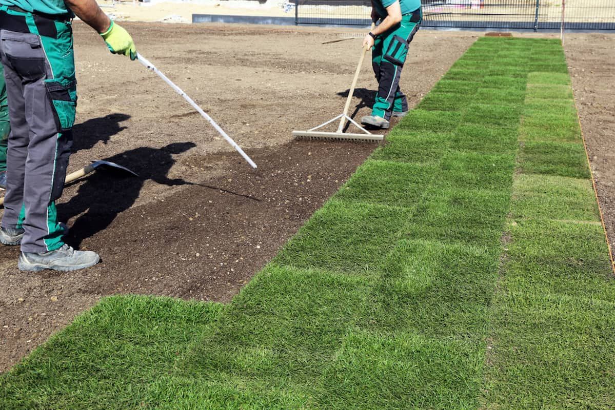 Two Men Are Raking a Lush Green Field of Grass — Acres 2 Mow in Lake Macquarie, NSW
