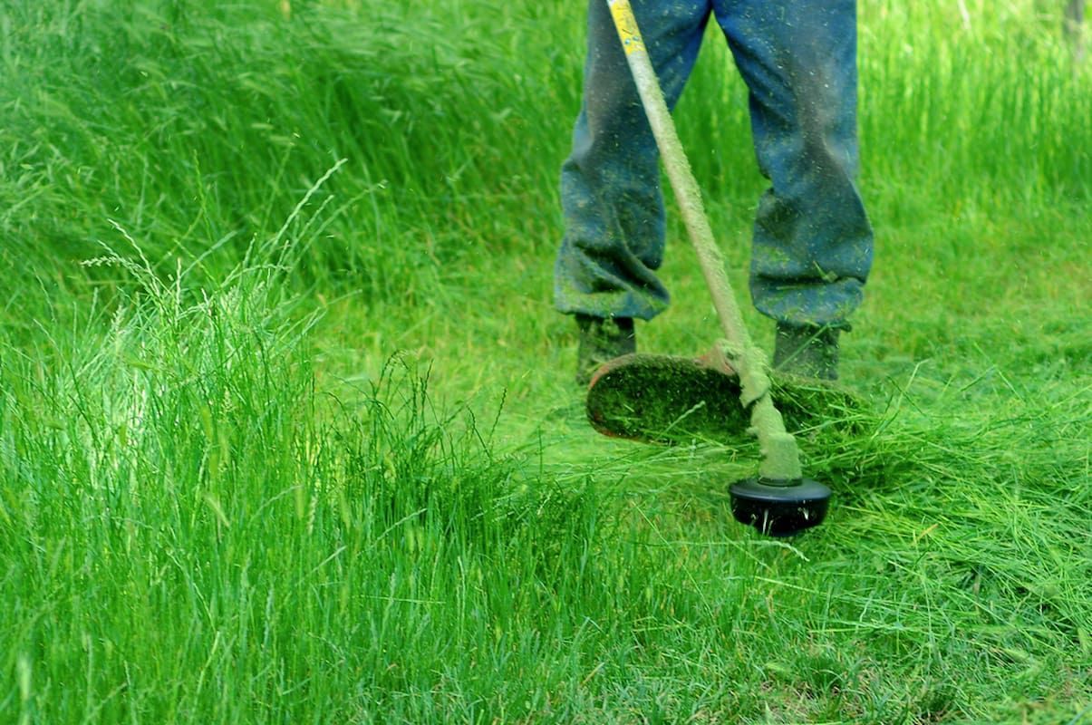 A Man Is Mowing the Grass with A Lawn Mower — Acres 2 Mow in Maitland, NSW