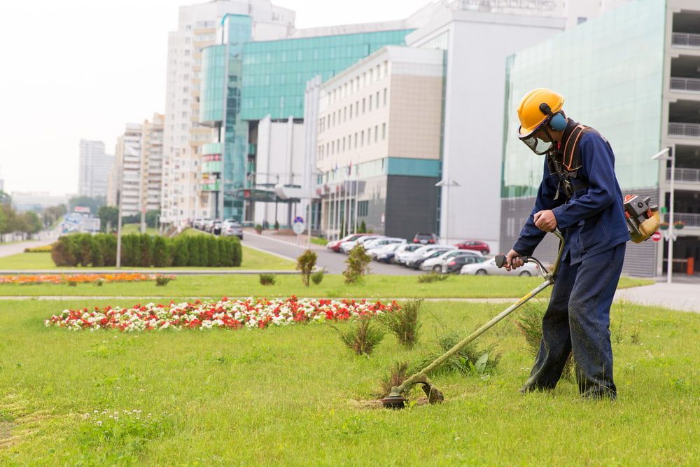 A Man Is Cutting Grass in A Park with A Lawn Mower — Acres 2 Mow in Newcastle, NSW