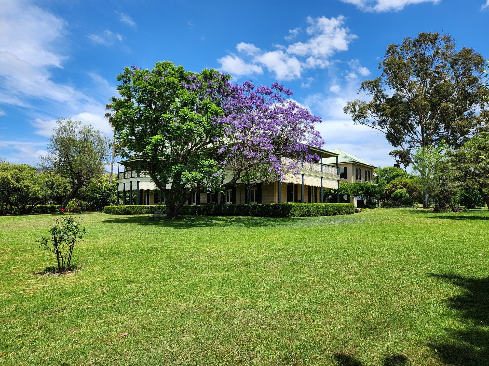A large house with a purple tree in front of it.