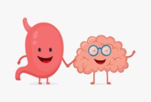 Connecting Your Gut with Your Brain.