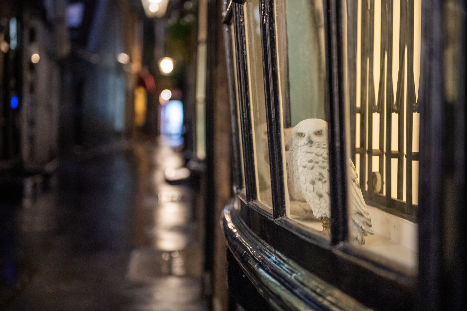 Narrow London alley at night with a shop window, seen on a Harry Potter walking tour
