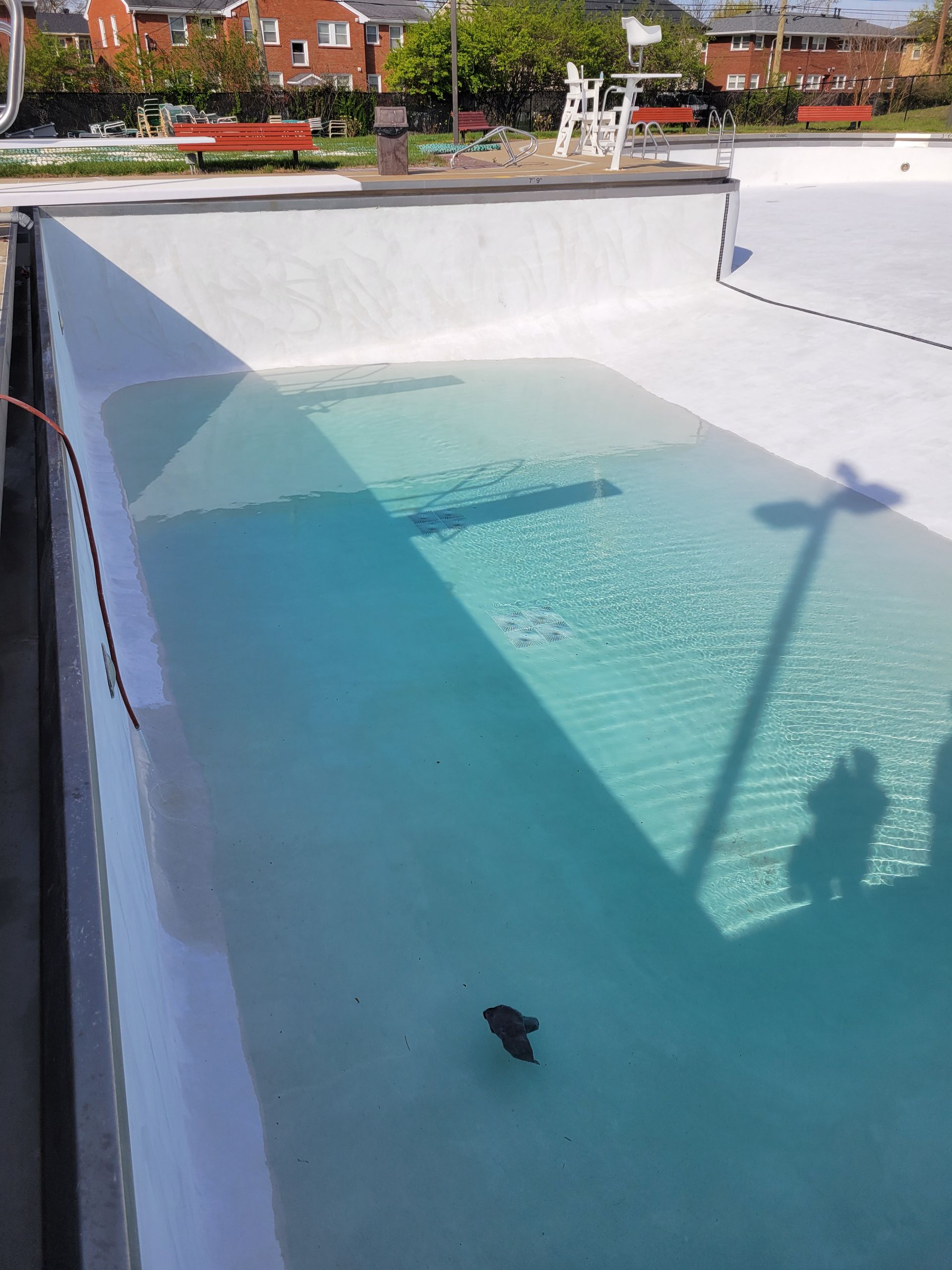 A small fish is swimming in a large swimming pool.
