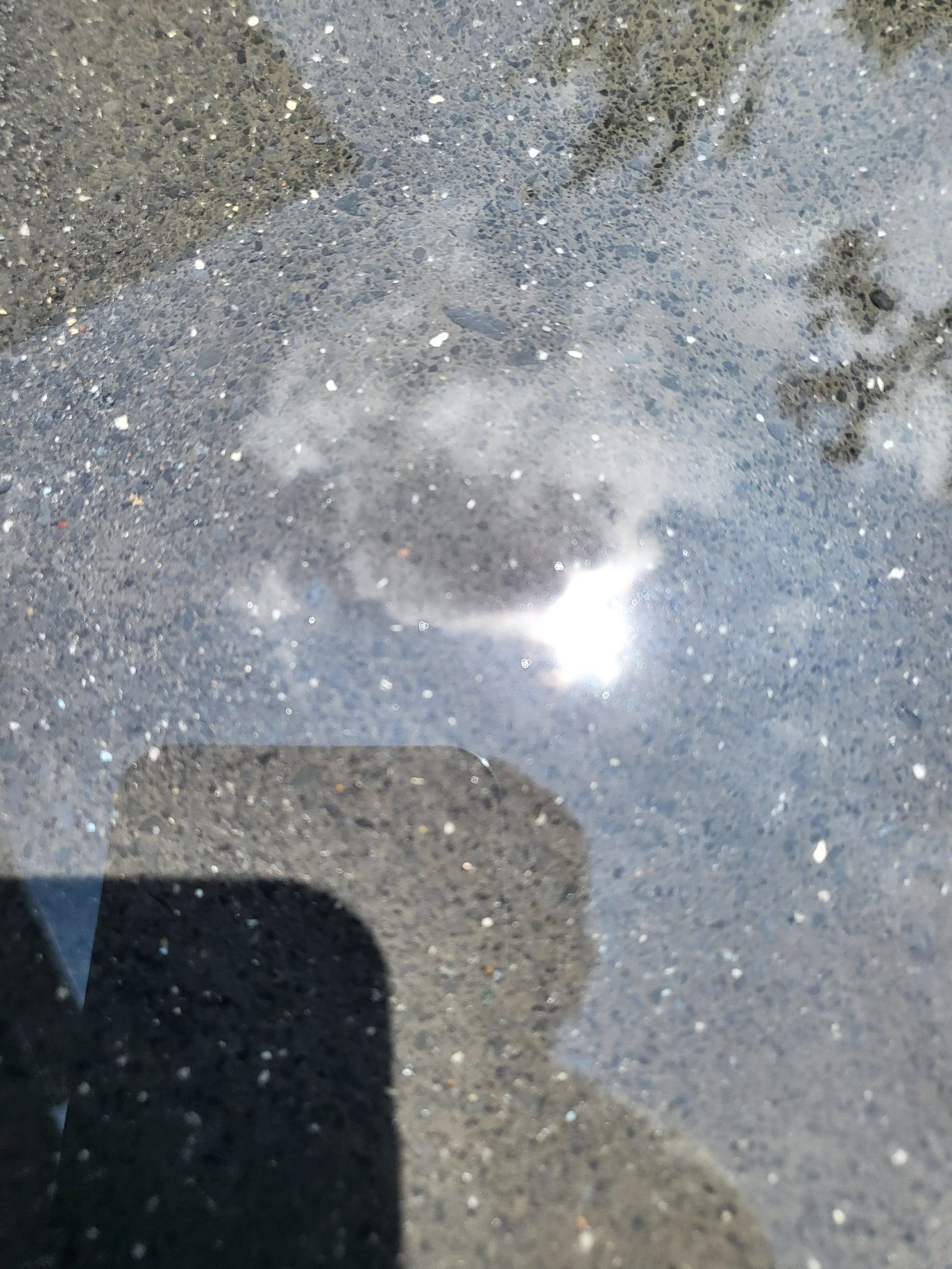 A reflection of the sun in a puddle of water
