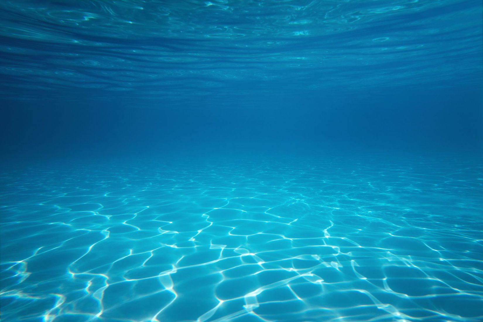 Phoenix Pools Google Review