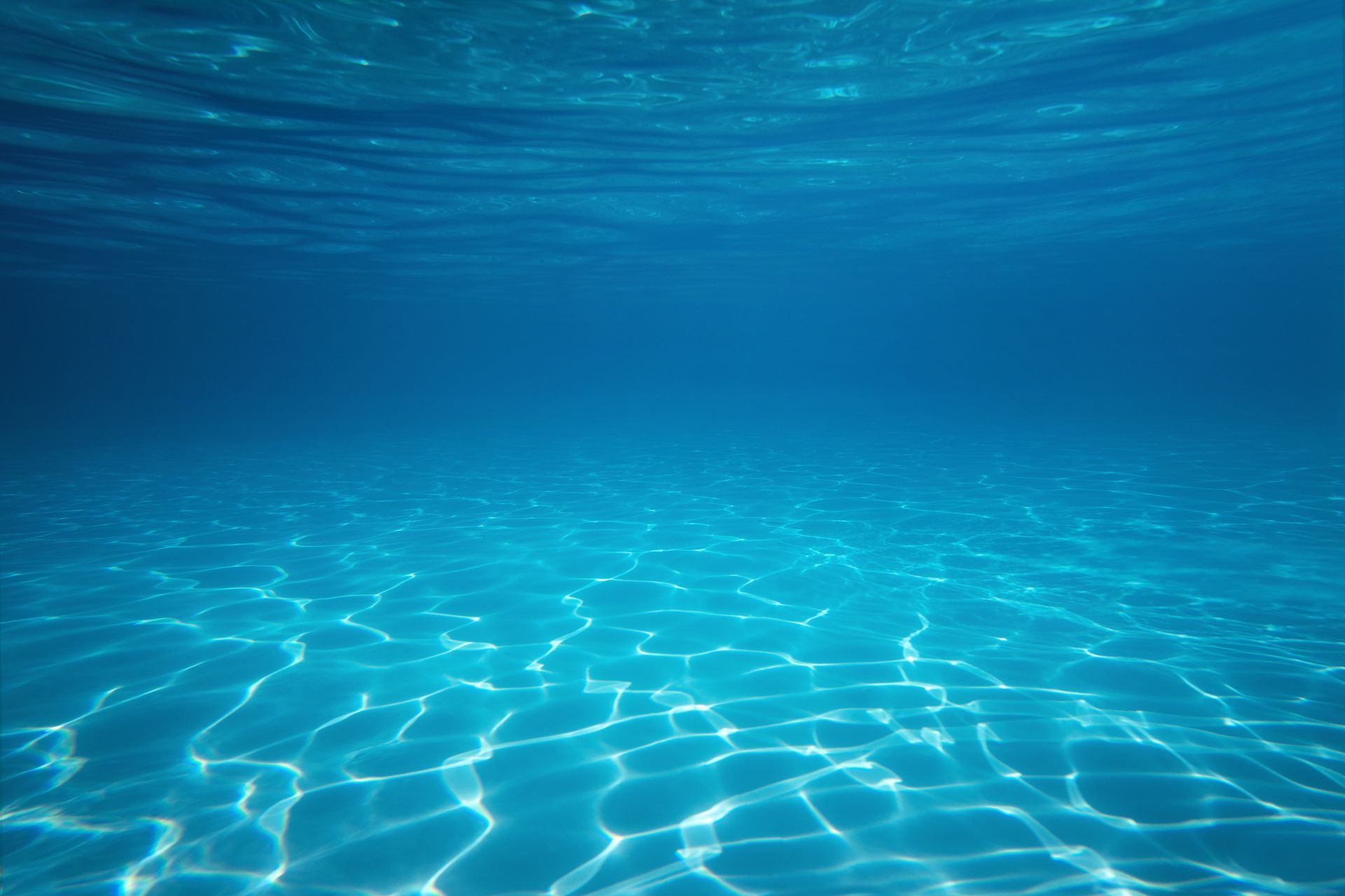 Phoenix Pools Google Review