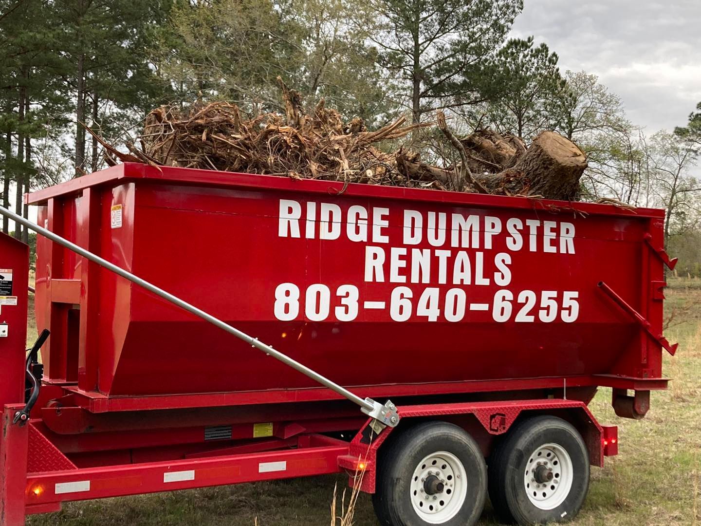 Red dumpster on a trailer filled with tree debris, advertising Ridge Dumpster Rentals, 803-640-6255.