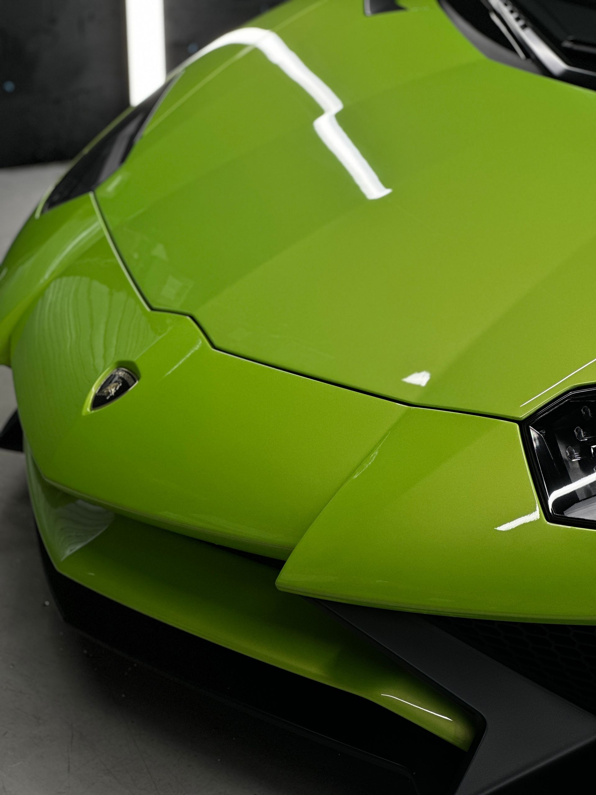 full auto detailing Elmwood Park