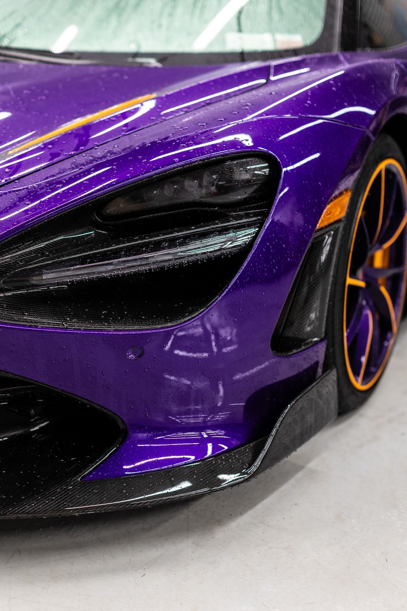 Professional Auto Detailing Services
