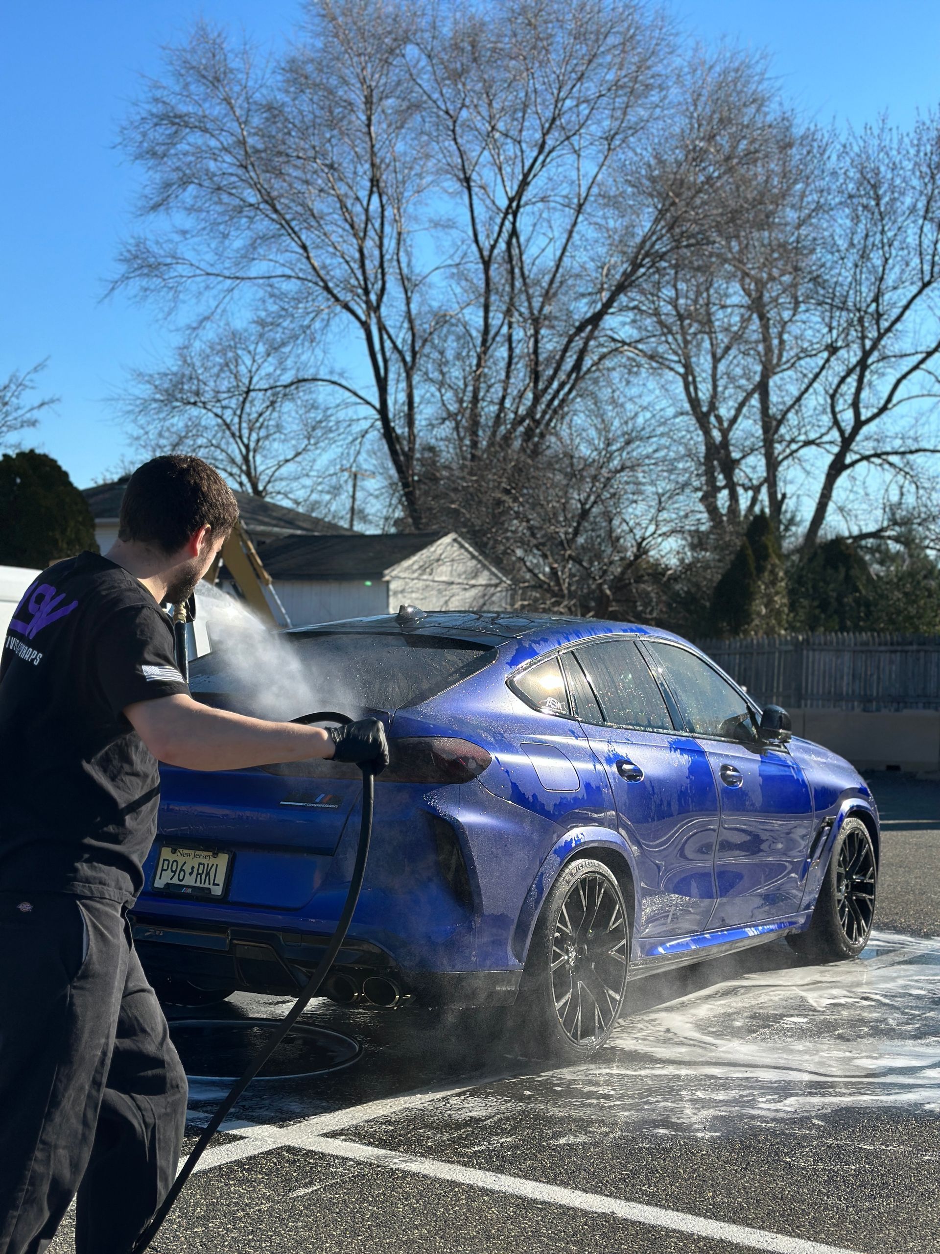 Professional Auto Detailing