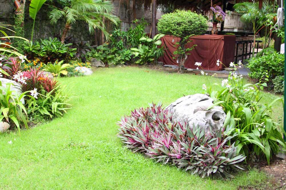 A Lush Green Garden With Lots of Plants and Flowers — B & C Yard Improvements in Warren, NSW
