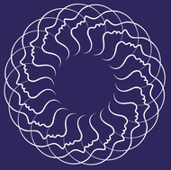 Medical Detox Center