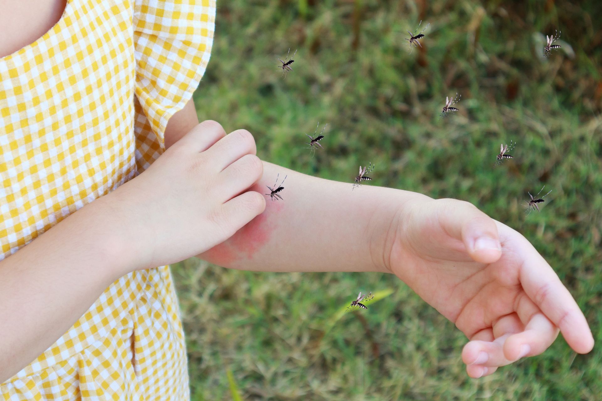 Child scratching forearm as bees swarm around, wearing a yellow gingham shirt outdoors