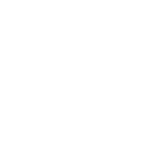 mop and bucket