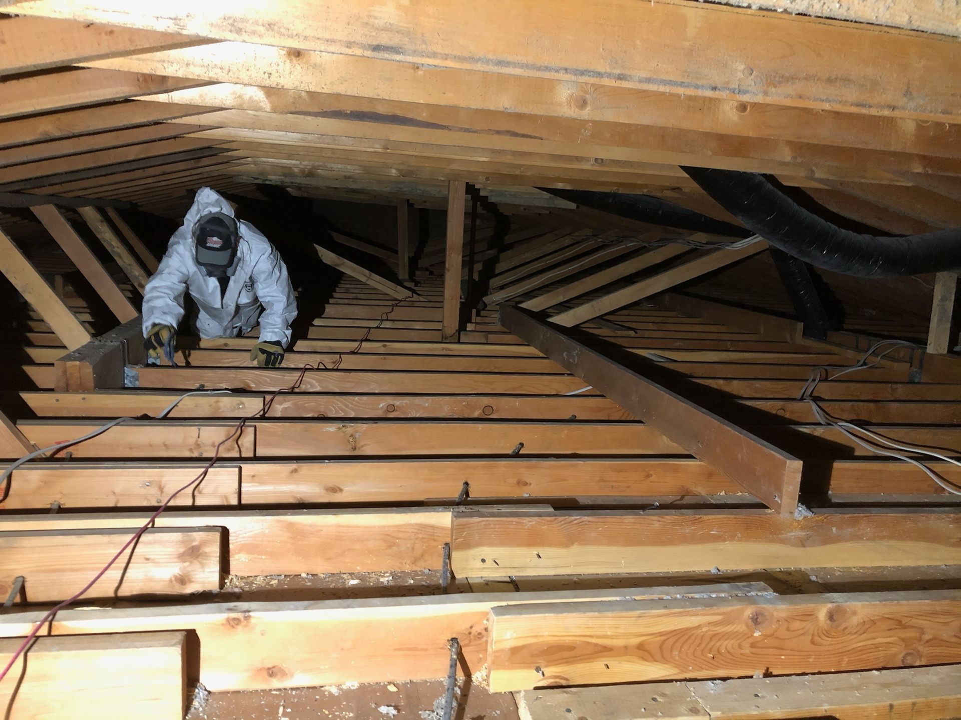 Attic Insulation Removal