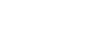 Blank white image with no visible content