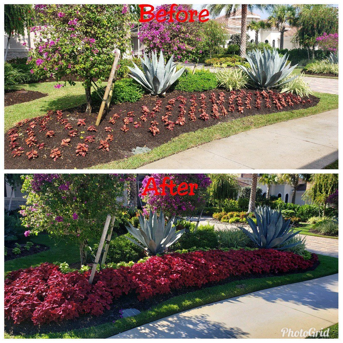 naples florida gardening services