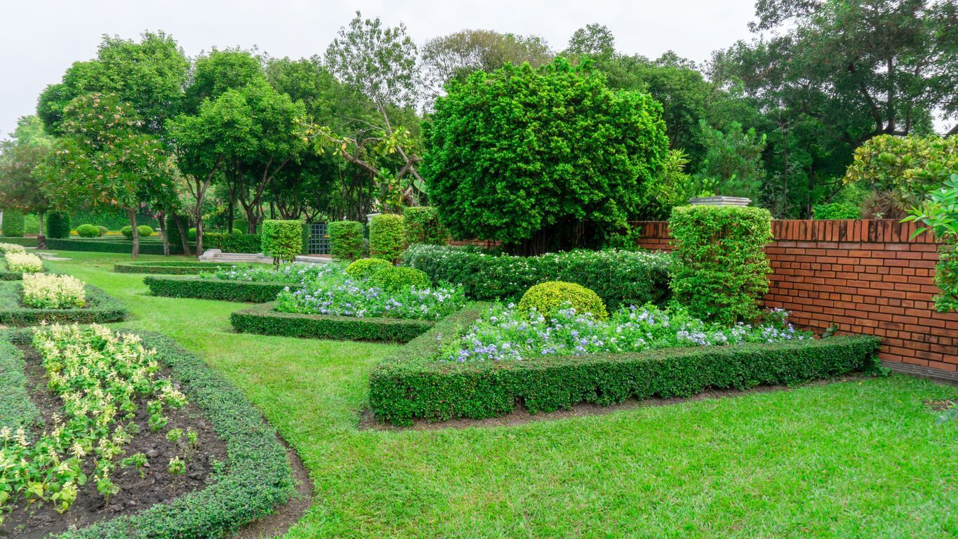 Landscape Design Tips for Beginners