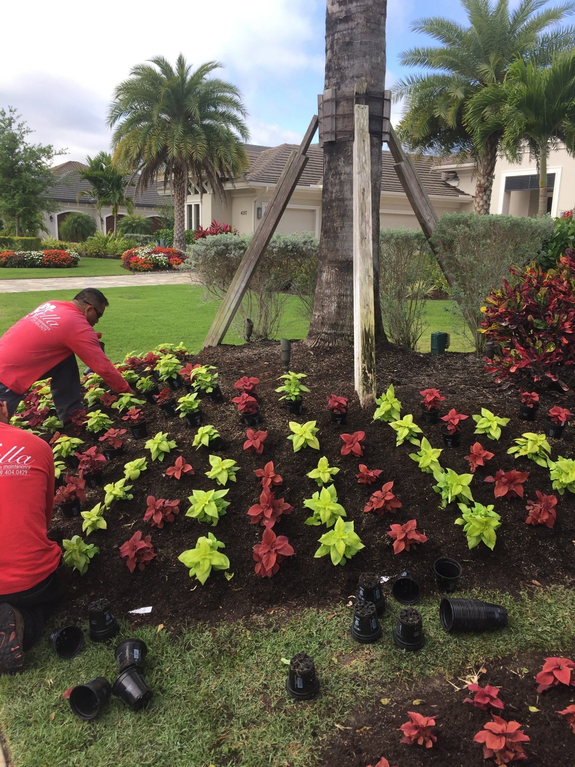 Gardening Services Naples Florida