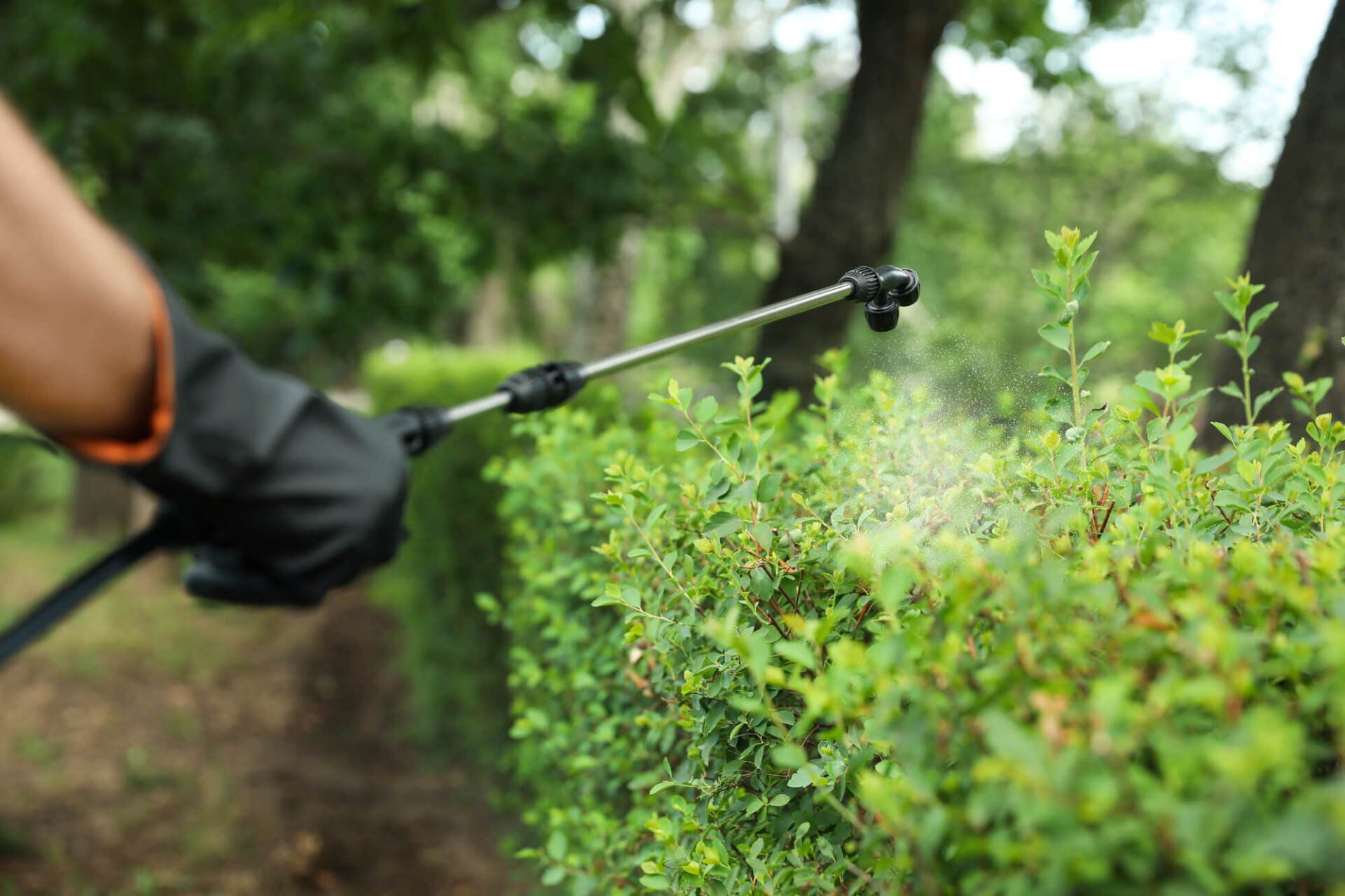 outdoor pest control naples florida