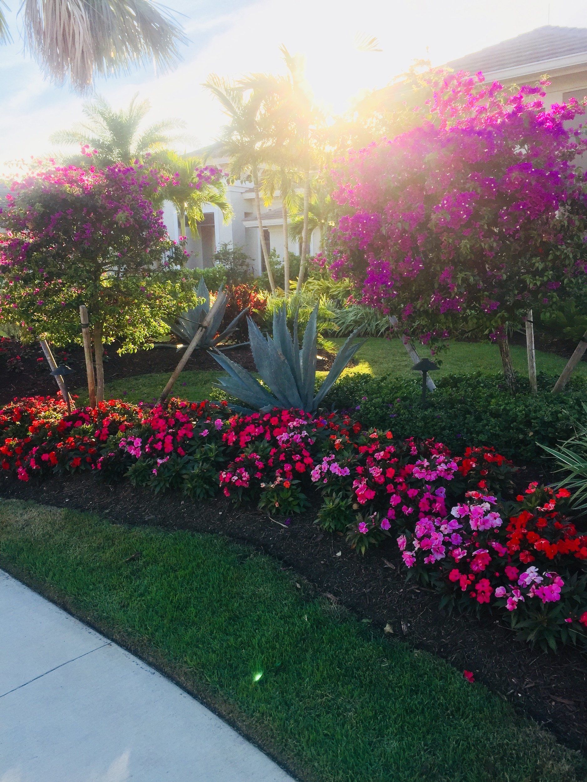 Seasonal Flowers Naples Florida