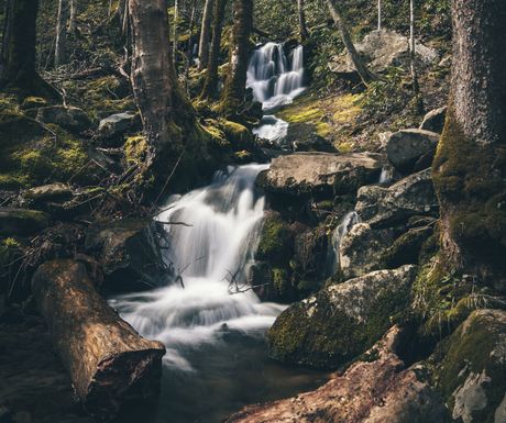 A small waterfall in the middle of a forest