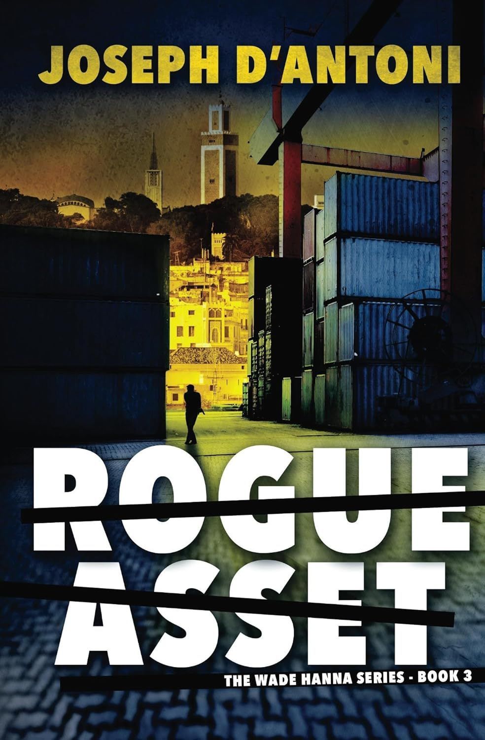 Rogue Asset