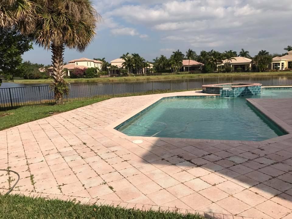 A brick patio surrounds a pool with a view of a lake and houses on the other side. A palm tree is to the left.