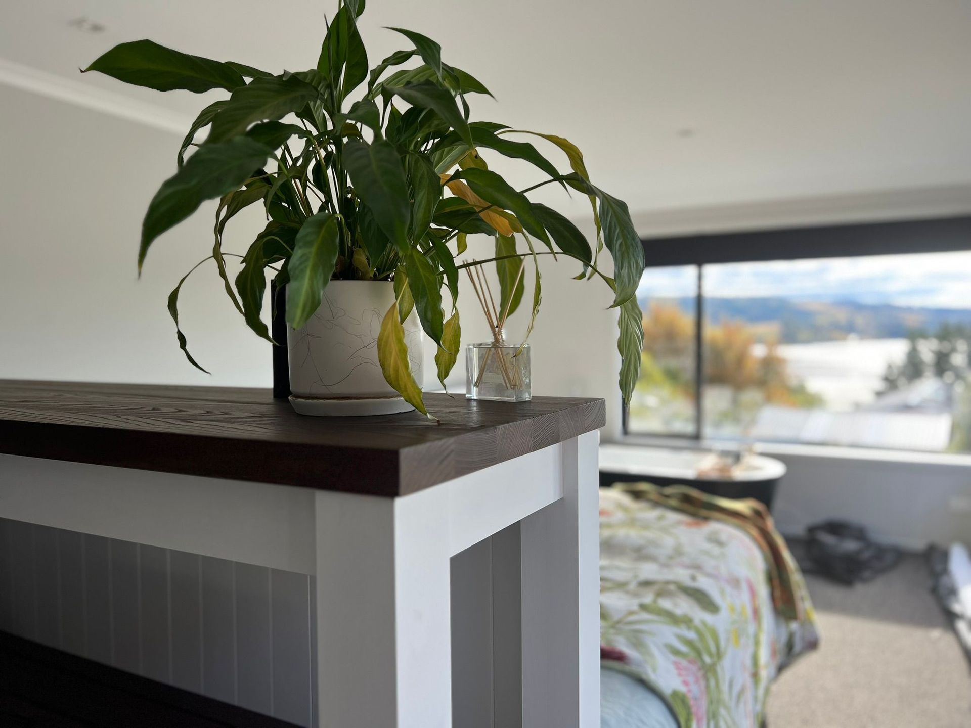 Timber Direct Otago Dunedin at Lester Vincent blog