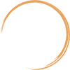 A close up of a circle on a white background.