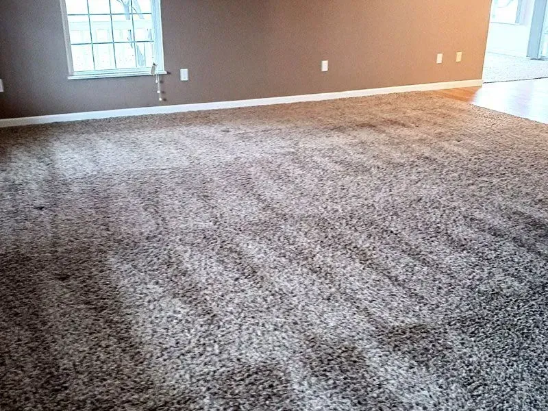 Empty carpeted living room with brown walls and a window on the left.