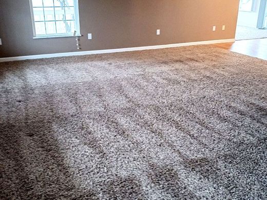 Empty carpeted living room with brown walls and a window on the left.