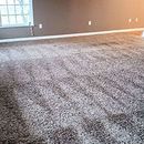 Empty carpeted living room with brown walls, white trim, and a window on the left.